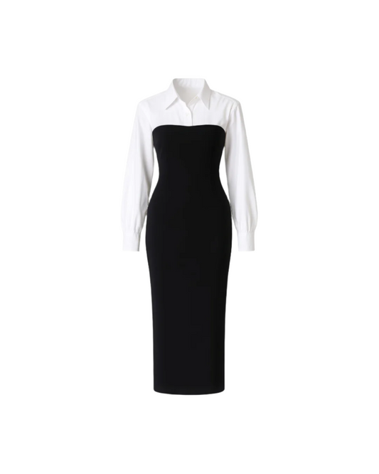 Women's Contrast Colour Sheath Long Sleeve Lapel Neck Dress